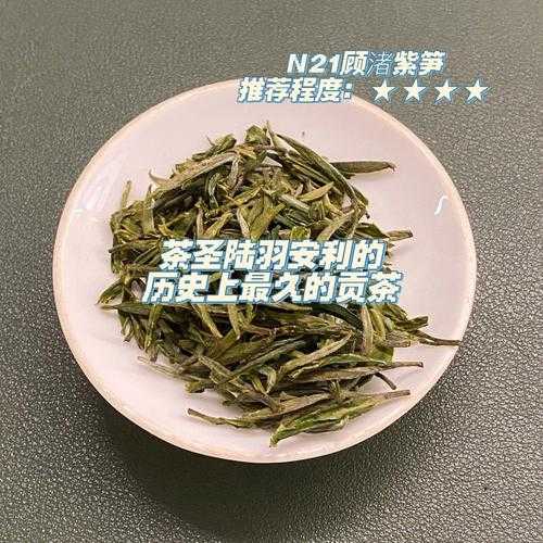 紫笋茶什么档次（紫笋茶一般多少钱一斤）