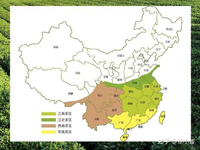 中国茶叶四大产区（华南茶区代表名茶）